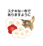 亀ってなんてかわいいの♥️9（個別スタンプ：23）