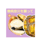 亀ってなんてかわいいの♥️9（個別スタンプ：29）