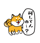 しば トーク（個別スタンプ：5）