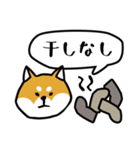 しば トーク（個別スタンプ：11）