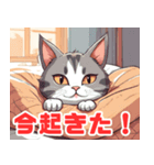 猫イラストのスタンプ2（個別スタンプ：1）