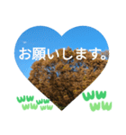 敬語お疲れ様です。お大事に。お願いします（個別スタンプ：2）