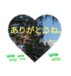 敬語お疲れ様です。お大事に。お願いします（個別スタンプ：5）