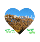 敬語お疲れ様です。お大事に。お願いします（個別スタンプ：9）