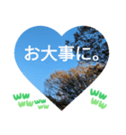 敬語お疲れ様です。お大事に。お願いします（個別スタンプ：10）