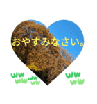 敬語お疲れ様です。お大事に。お願いします（個別スタンプ：16）