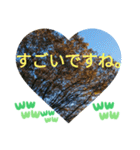 敬語お疲れ様です。お大事に。お願いします（個別スタンプ：17）