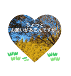 敬語お疲れ様です。お大事に。お願いします（個別スタンプ：18）