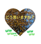 敬語お疲れ様です。お大事に。お願いします（個別スタンプ：19）