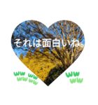 敬語お疲れ様です。お大事に。お願いします（個別スタンプ：20）