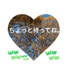 敬語お疲れ様です。お大事に。お願いします（個別スタンプ：22）