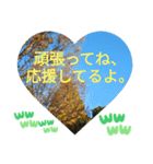 敬語お疲れ様です。お大事に。お願いします（個別スタンプ：29）