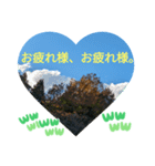 敬語お疲れ様です。お大事に。お願いします（個別スタンプ：34）