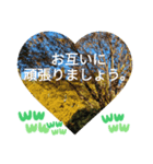 敬語お疲れ様です。お大事に。お願いします（個別スタンプ：36）