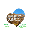 敬語お疲れ様です。お大事に。お願いします（個別スタンプ：39）