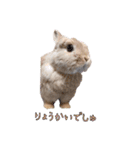 みるくと友だち（個別スタンプ：1）