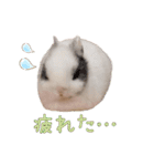 みるくと友だち（個別スタンプ：3）