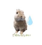 みるくと友だち（個別スタンプ：4）