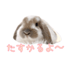 みるくと友だち（個別スタンプ：6）