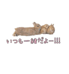 みるくと友だち（個別スタンプ：7）