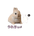 みるくと友だち（個別スタンプ：9）