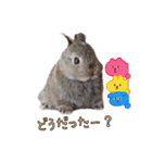 みるくと友だち（個別スタンプ：10）