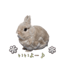 みるくと友だち（個別スタンプ：11）