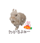 みるくと友だち（個別スタンプ：12）