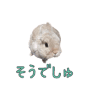 みるくと友だち（個別スタンプ：13）
