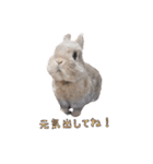 みるくと友だち（個別スタンプ：14）