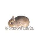 みるくと友だち（個別スタンプ：15）
