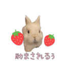 みるくと友だち（個別スタンプ：16）