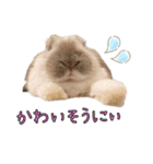 みるくと友だち（個別スタンプ：17）