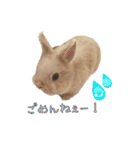 みるくと友だち（個別スタンプ：18）