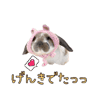 みるくと友だち（個別スタンプ：19）