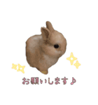 みるくと友だち（個別スタンプ：20）