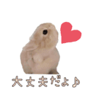 みるくと友だち（個別スタンプ：21）