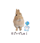 みるくと友だち（個別スタンプ：22）