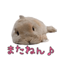 みるくと友だち（個別スタンプ：24）