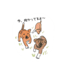 今日の保護犬＠キドックス（個別スタンプ：3）