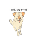 今日の保護犬＠キドックス（個別スタンプ：11）