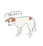 今日の保護犬＠キドックス（個別スタンプ：18）