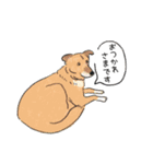 今日の保護犬＠キドックス（個別スタンプ：22）