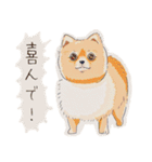 猫犬なペットスタンプ（個別スタンプ：20）