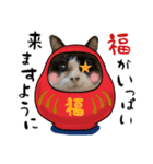 猫たちの年末年始（個別スタンプ：8）