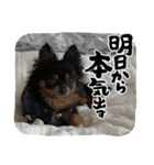 Atom 07（個別スタンプ：4）