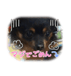 Atom 07（個別スタンプ：20）