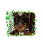 Atom 07（個別スタンプ：24）