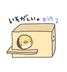 オカメインコのめいちゃんスタンプ（個別スタンプ：30）