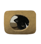 はちロボ8-2（個別スタンプ：1）